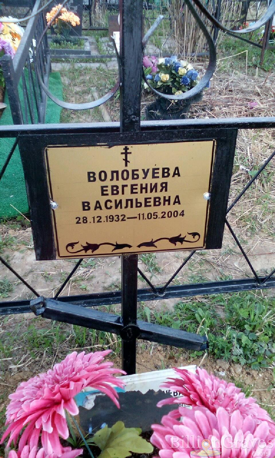волобуева евгения васильевна