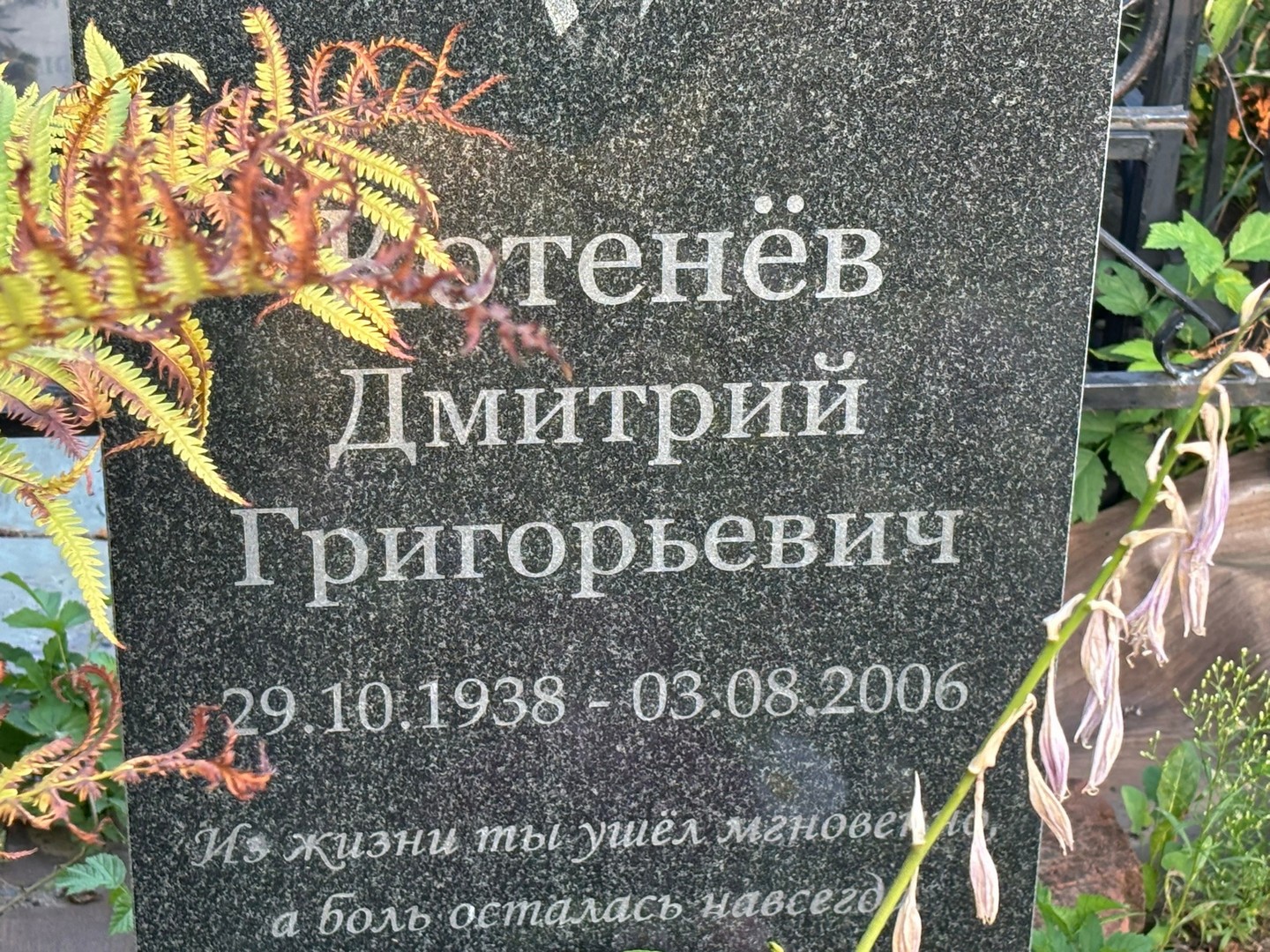 Котенев