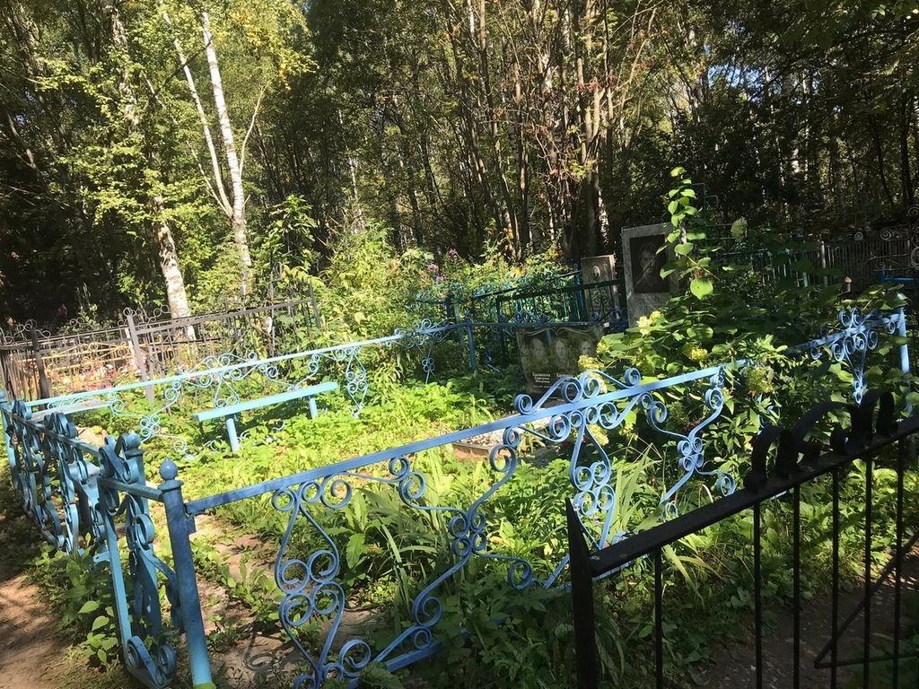 Костин Николай Васильевич