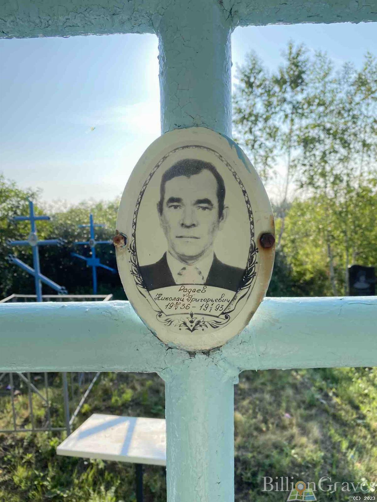 Радаев Николай Григорьевич