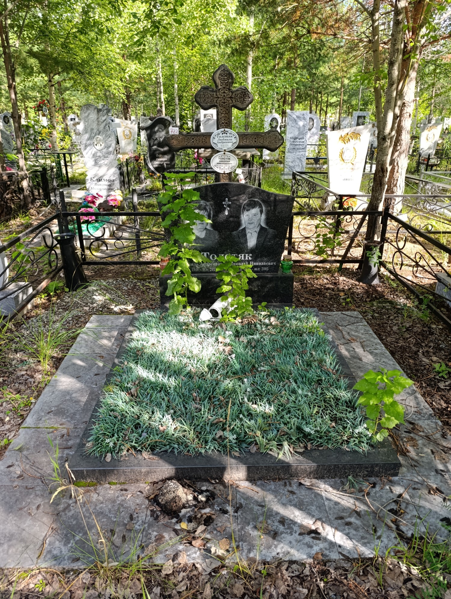 Толстяк Николай Николаевич