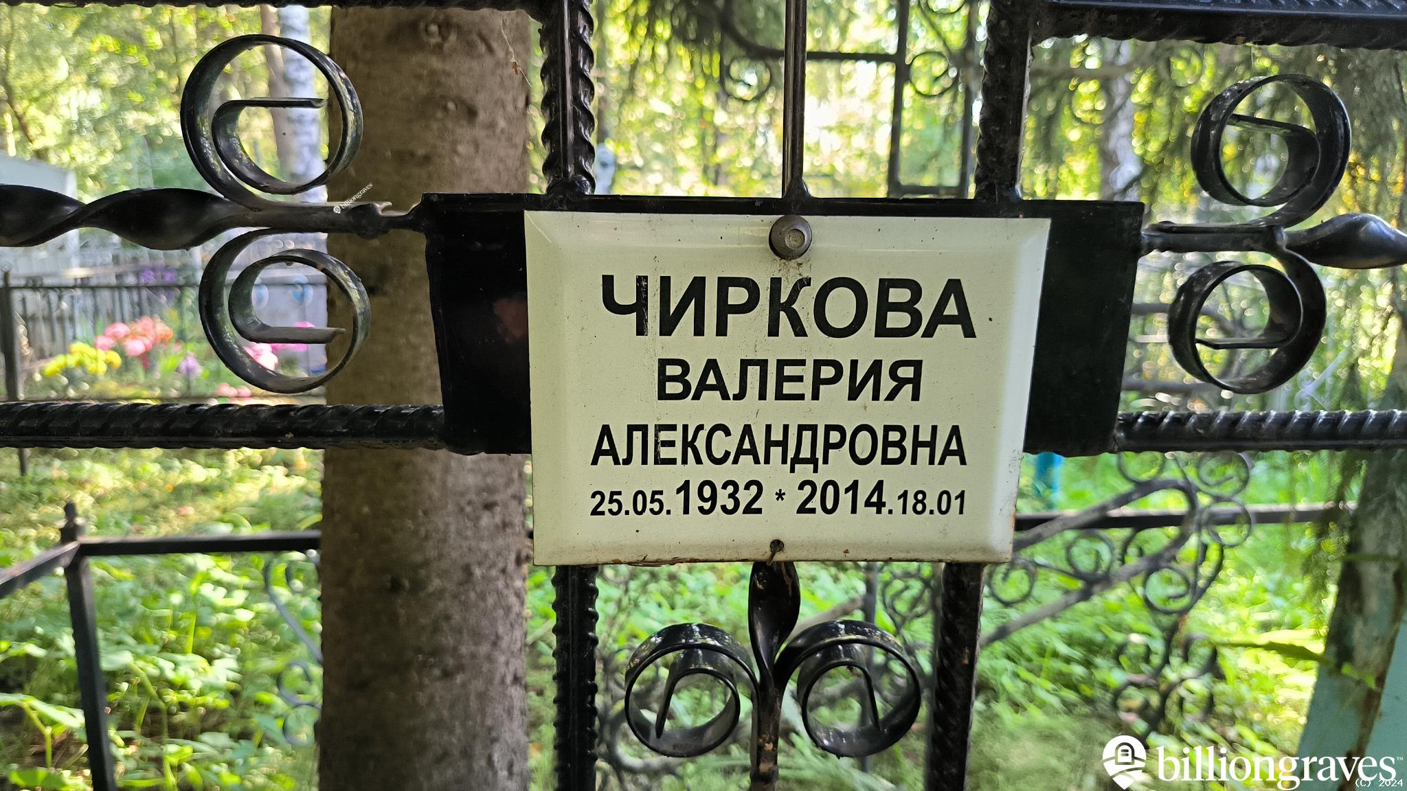 Чиркова Валерия Александровна
