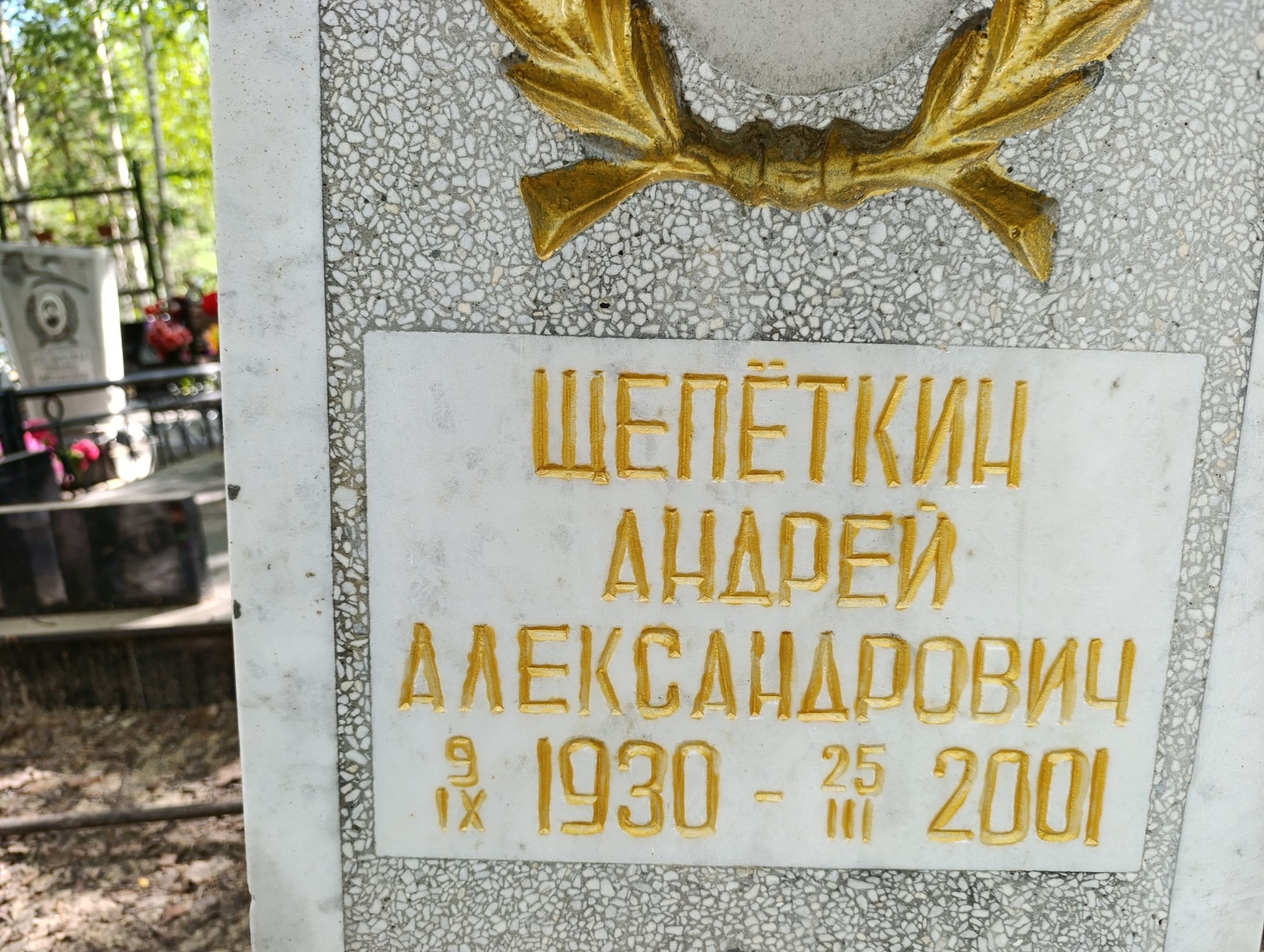Щепеткин Андрей Александрович