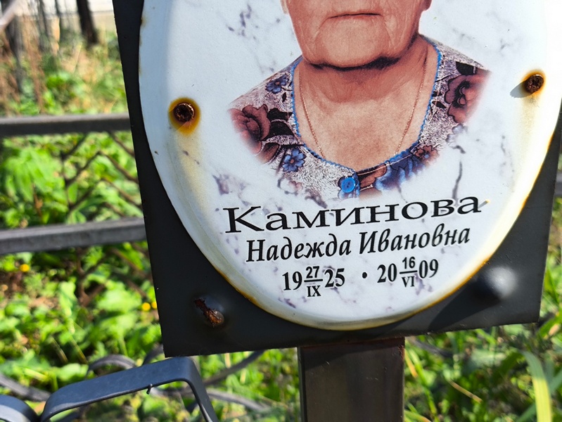 Каминова