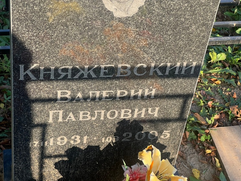 Княжевский