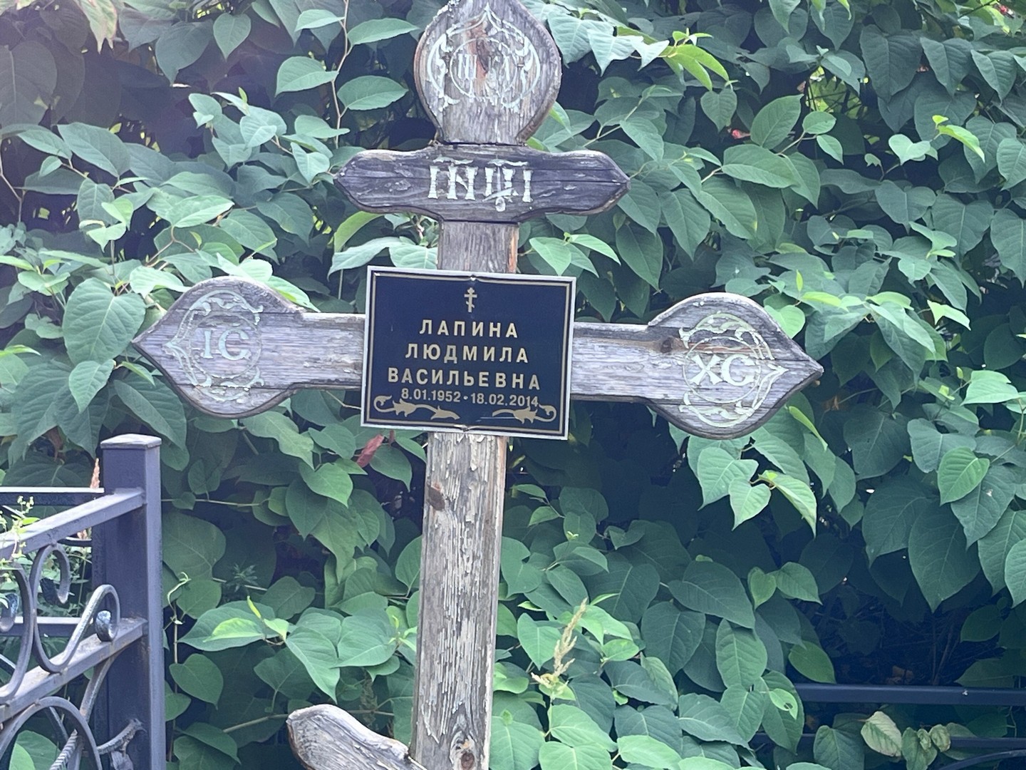 Лапина