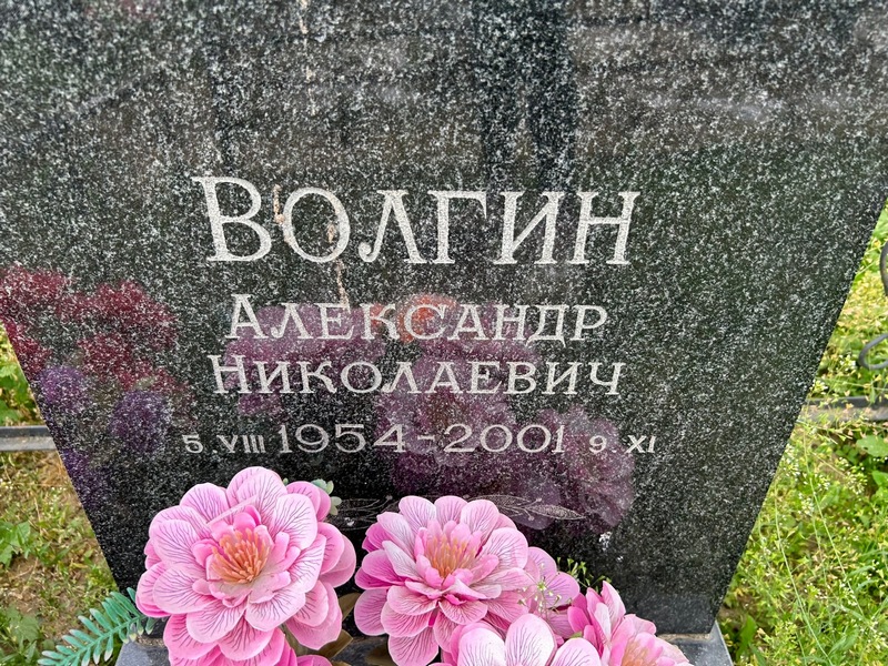 Волгин