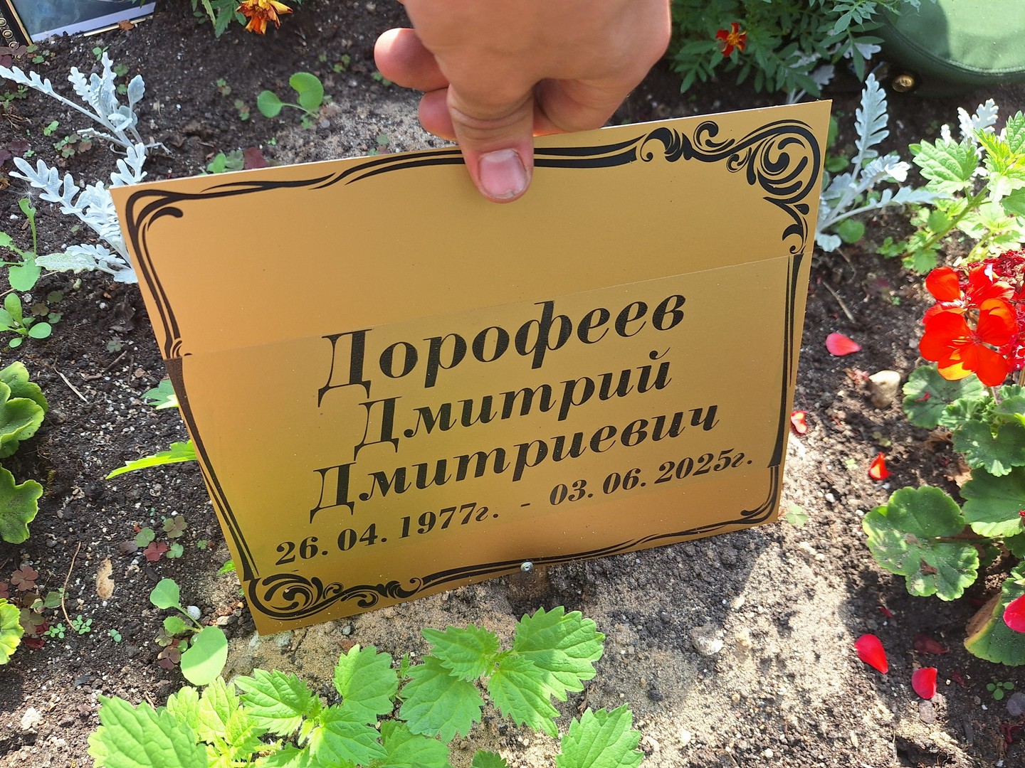 Дорофеев