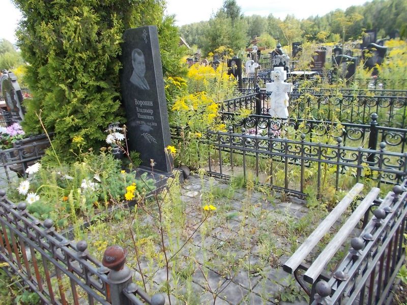 Воронин Владимир Иванович