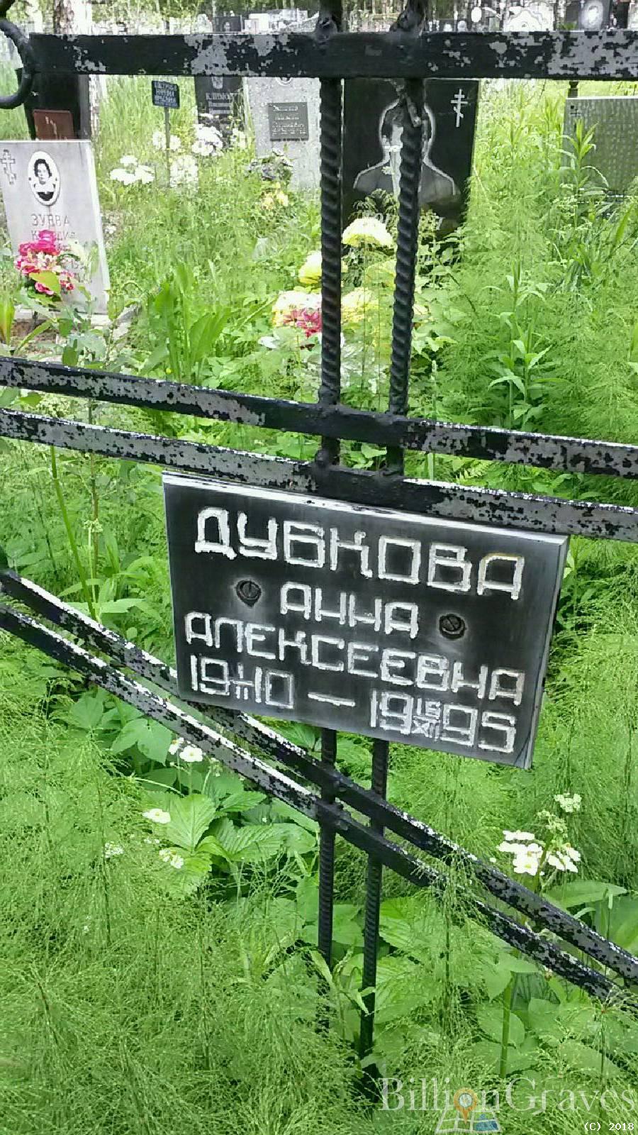 Дубкова Анна Алексеевна