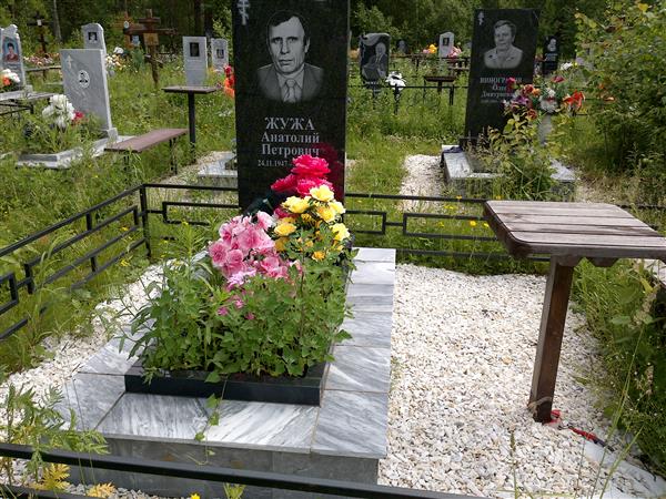 Жужа Анатолий Петрович