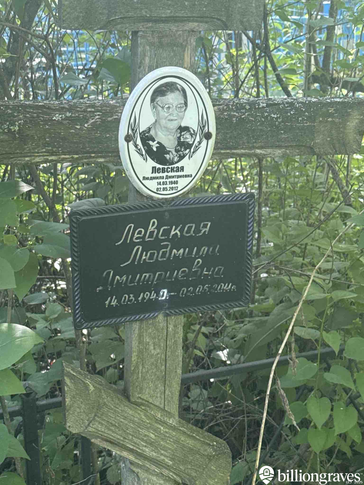 Левская Людмила Дмитриевна