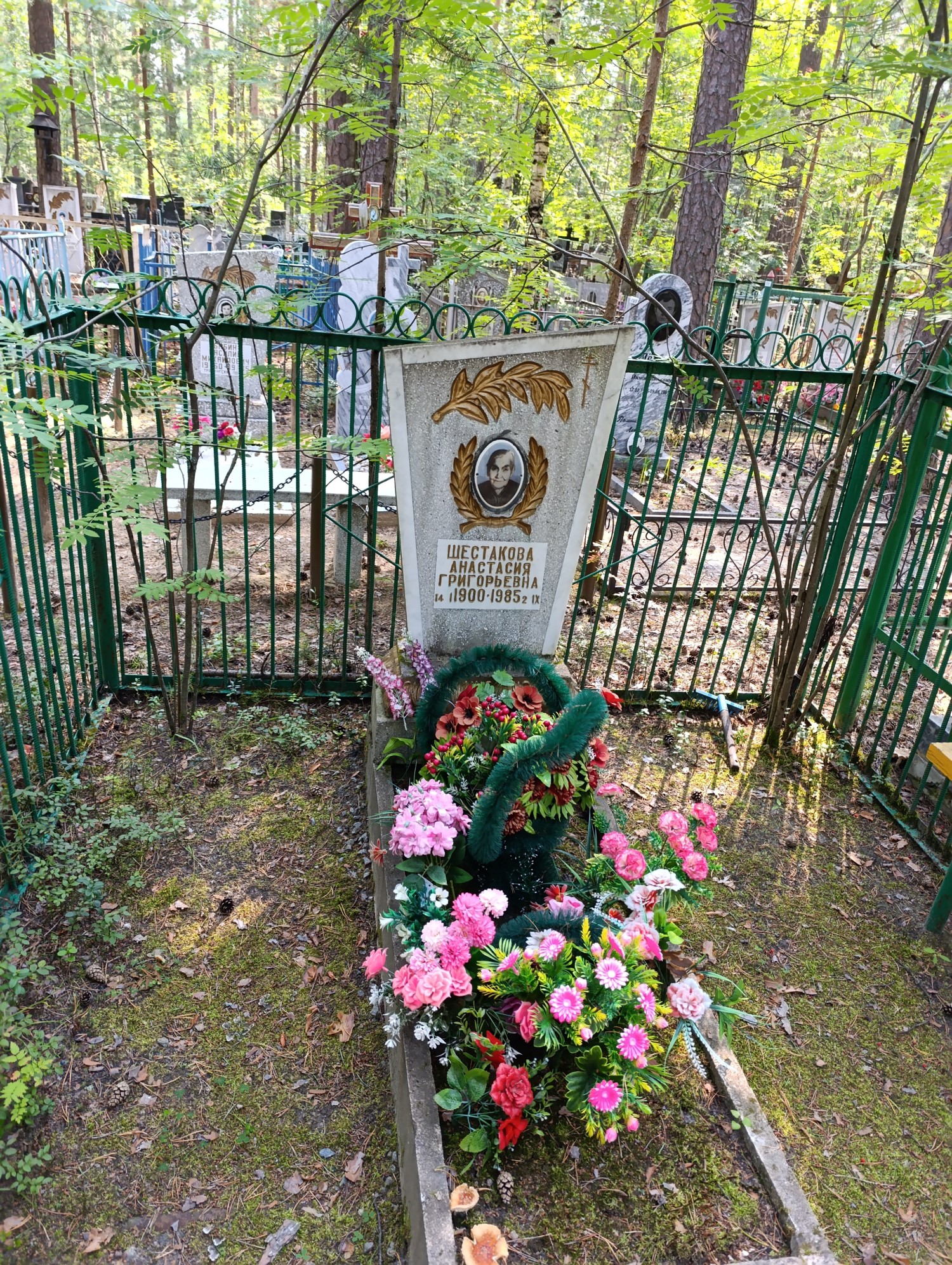 Шестакова Анастасия Григорьевна