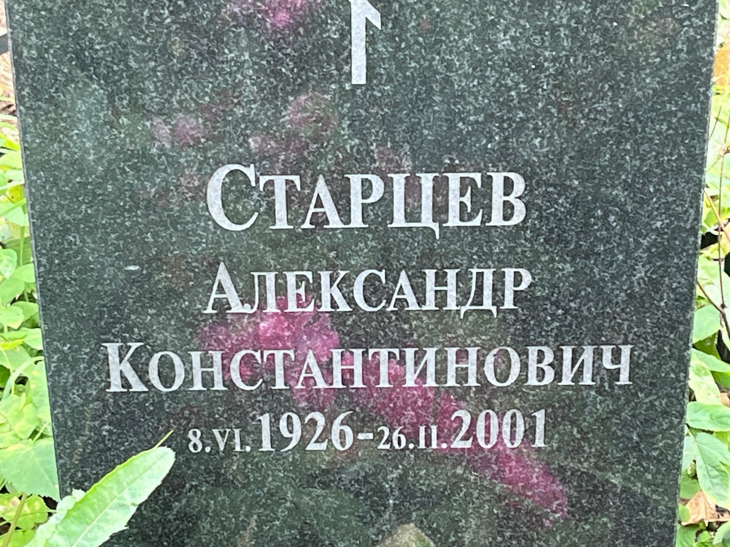 Старцев