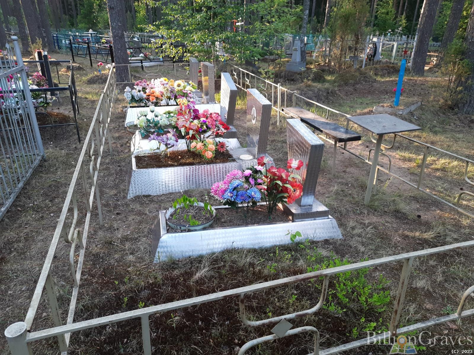 Парфёнов Василий Евгеньевич