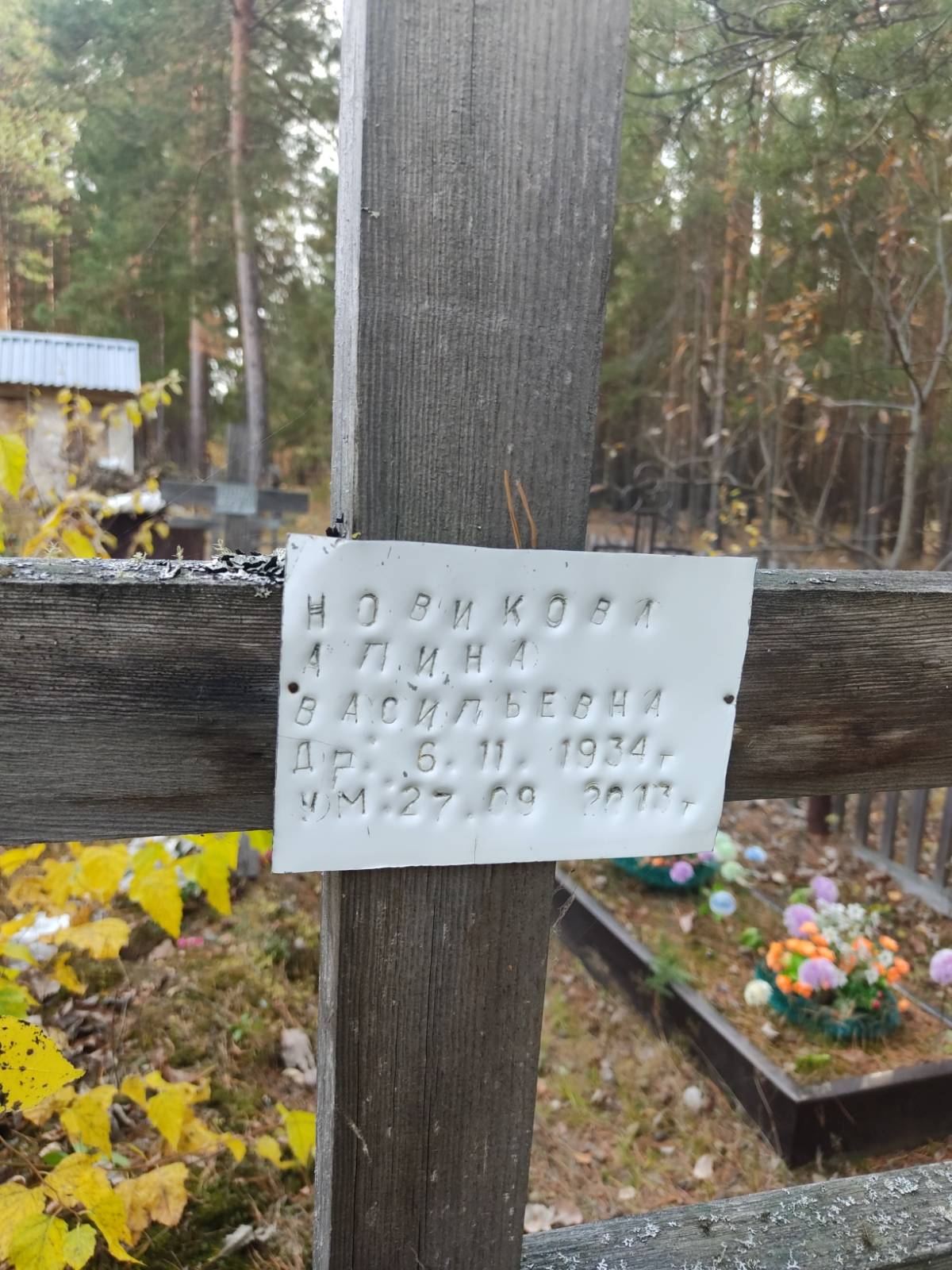 Новикова Алина Васильевна