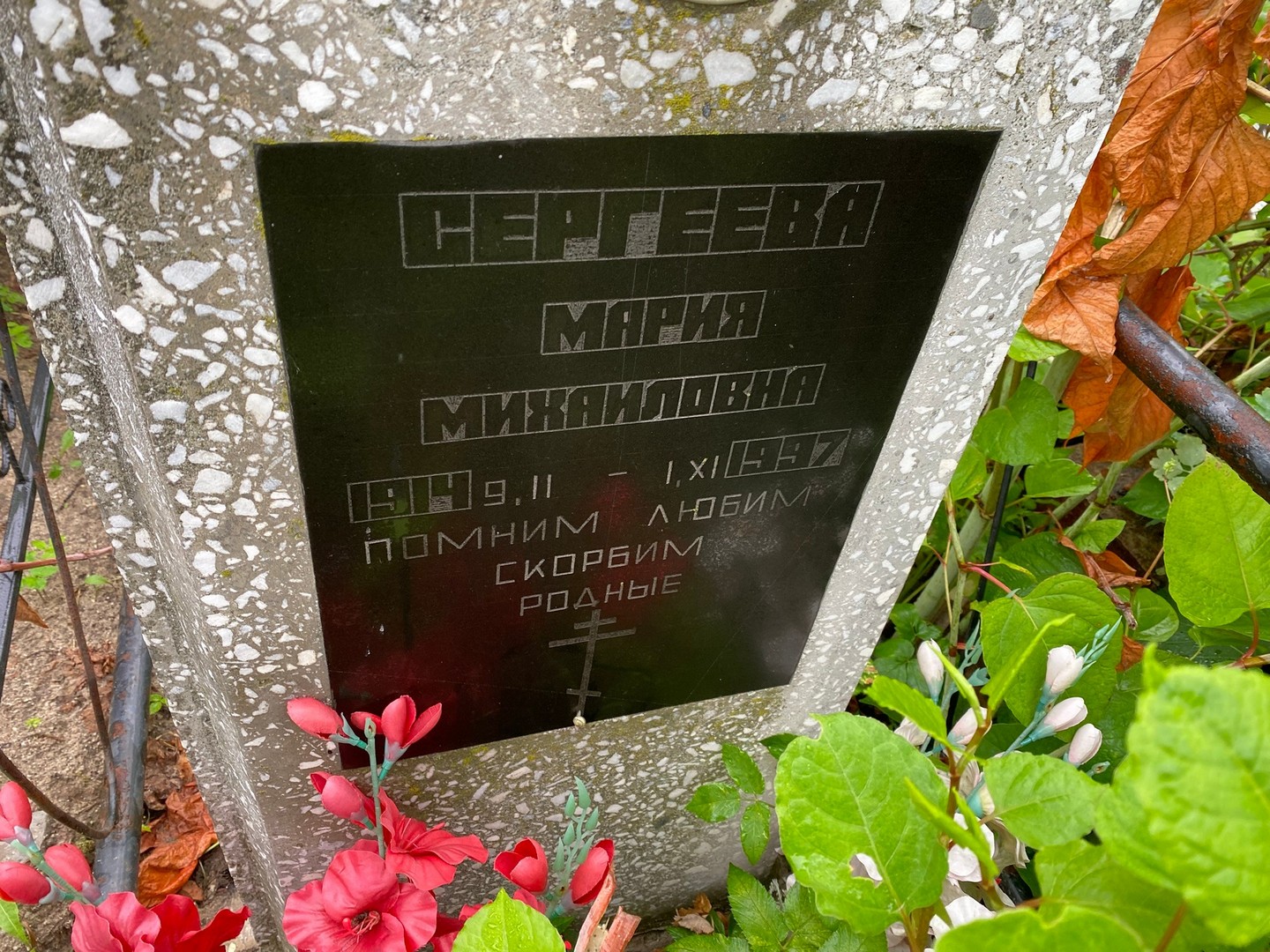 Сергеева