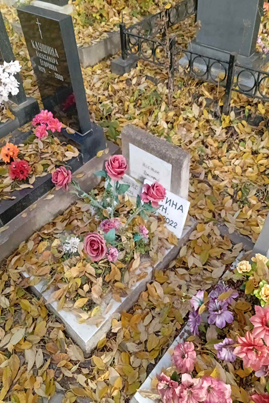 Костина Н. Д.