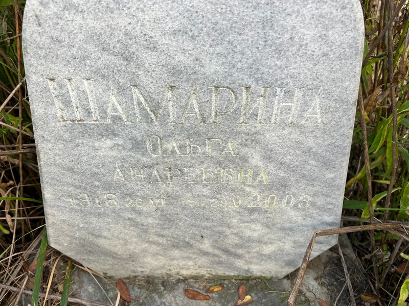 Шамарина