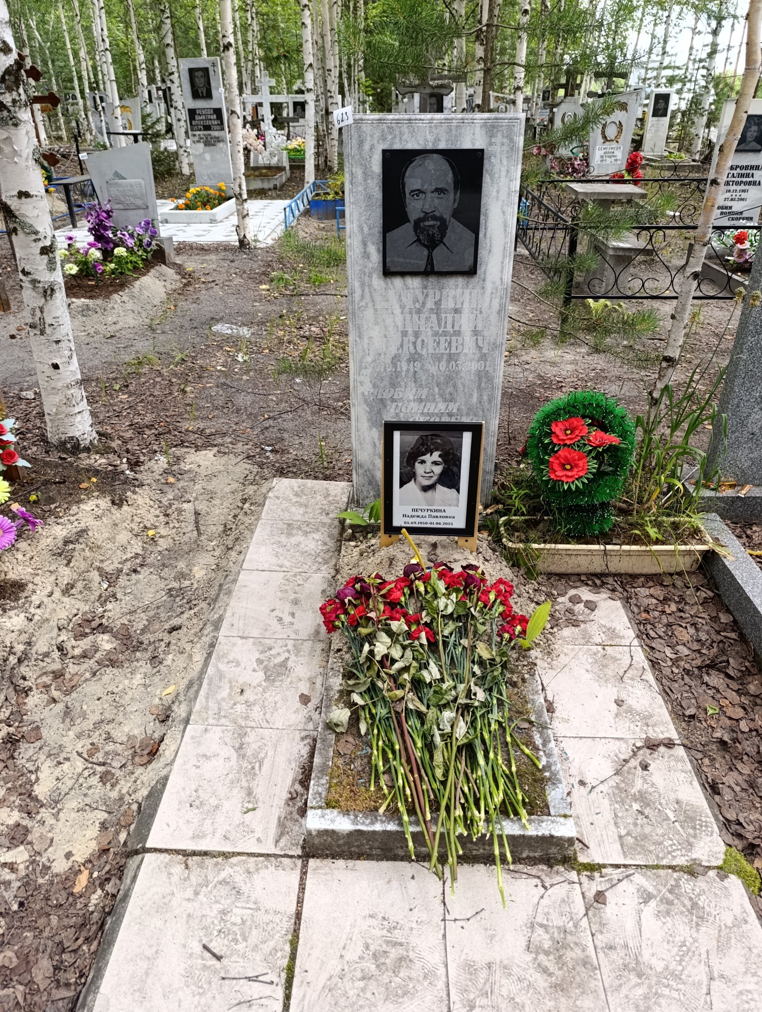 Печуркина Надежда Павловна