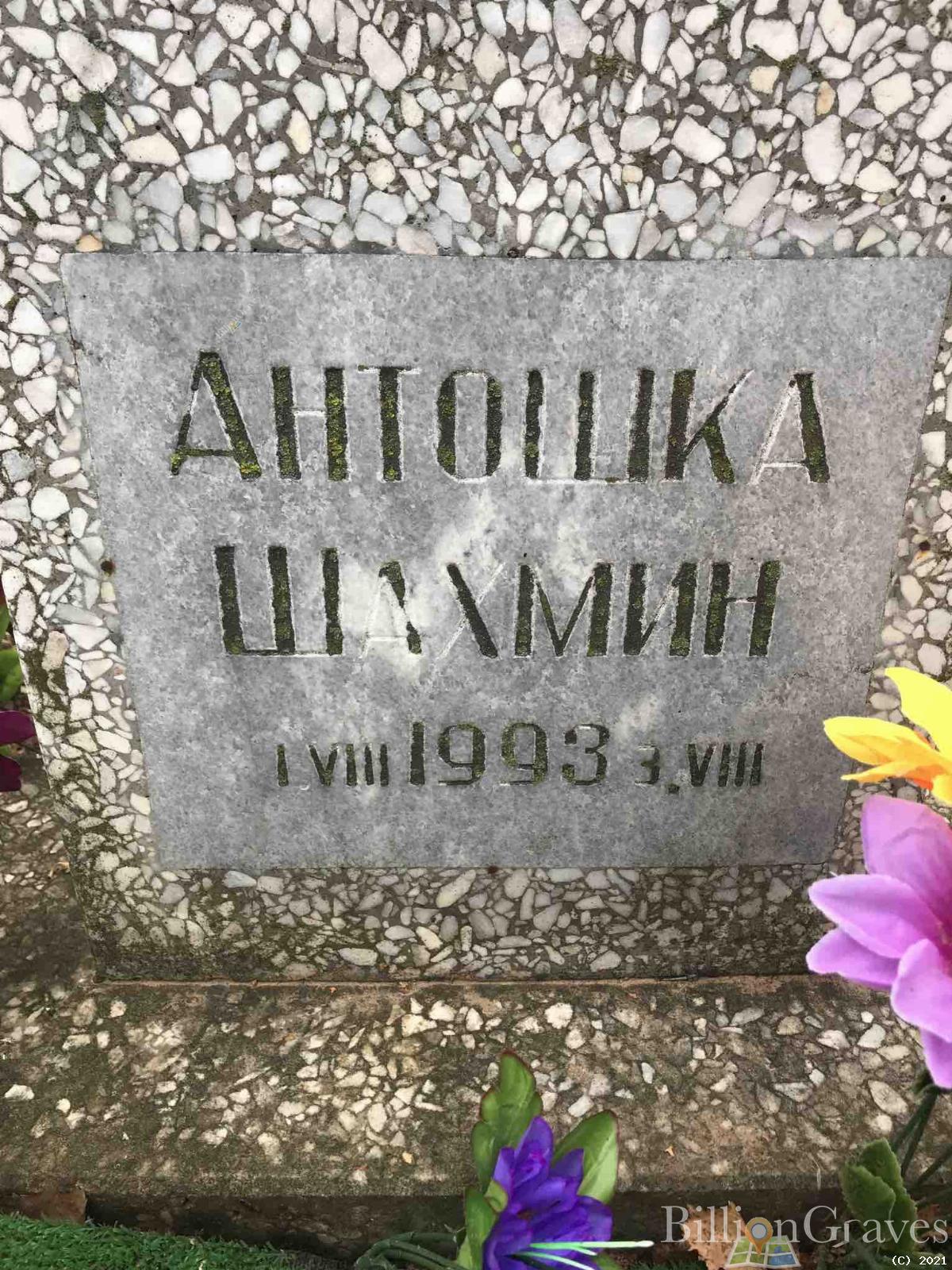 Шахмин Антошка