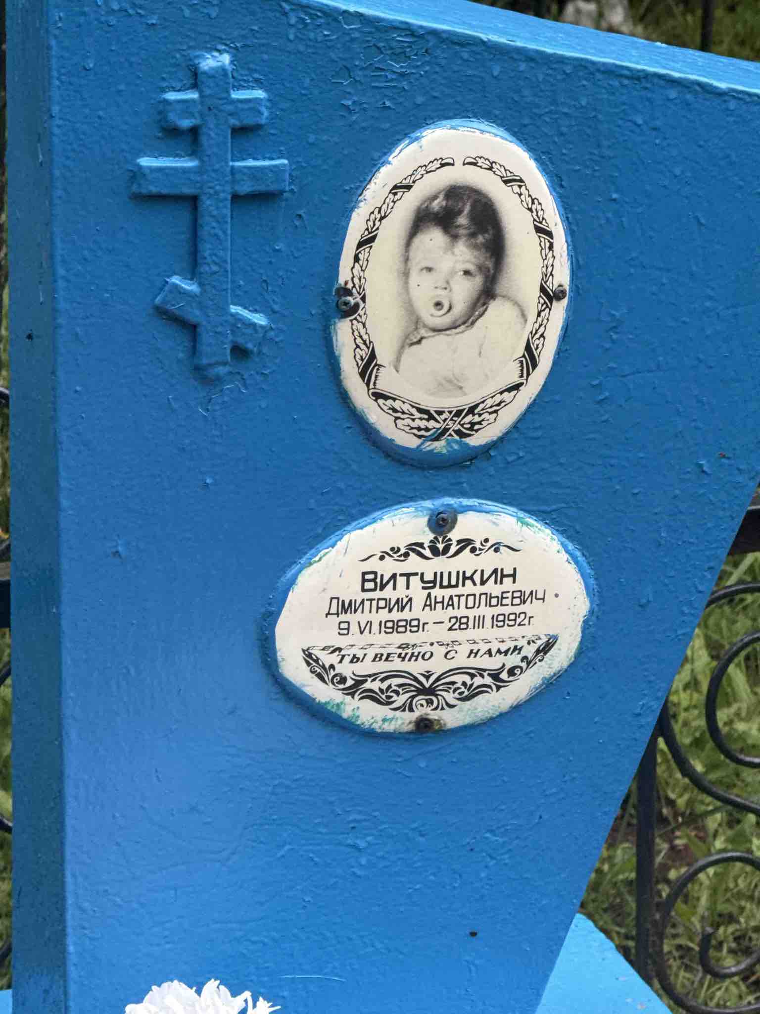 Витушкин Дмитрий Анатольевич
