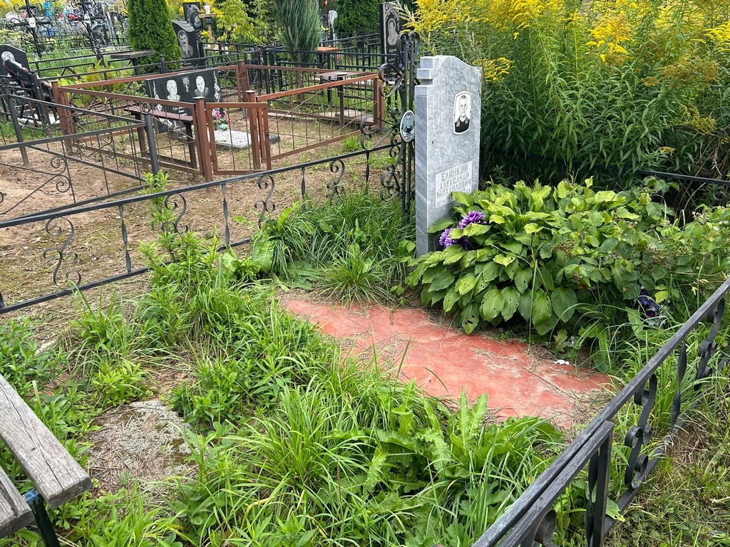 Елинкин Александр Михайлович