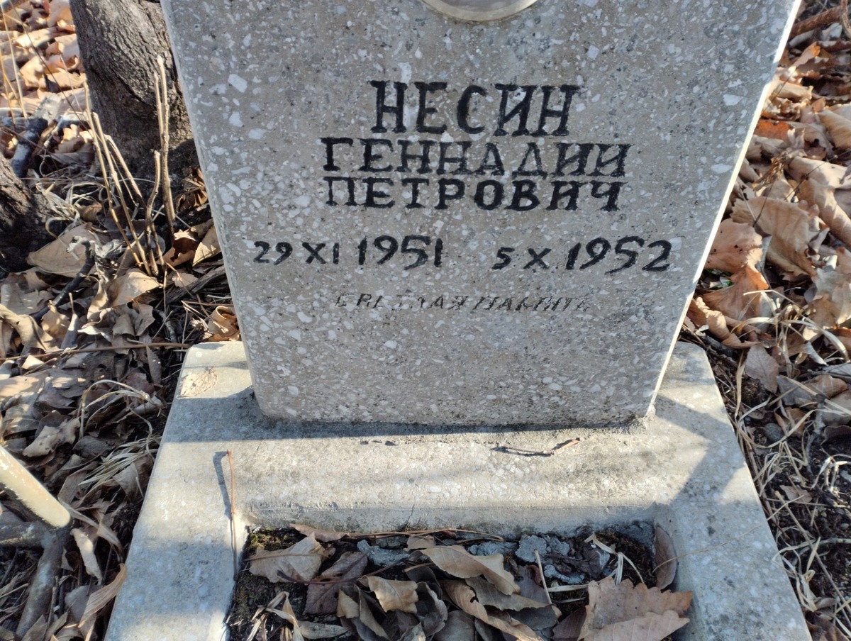 Несин Геннадий Петрович