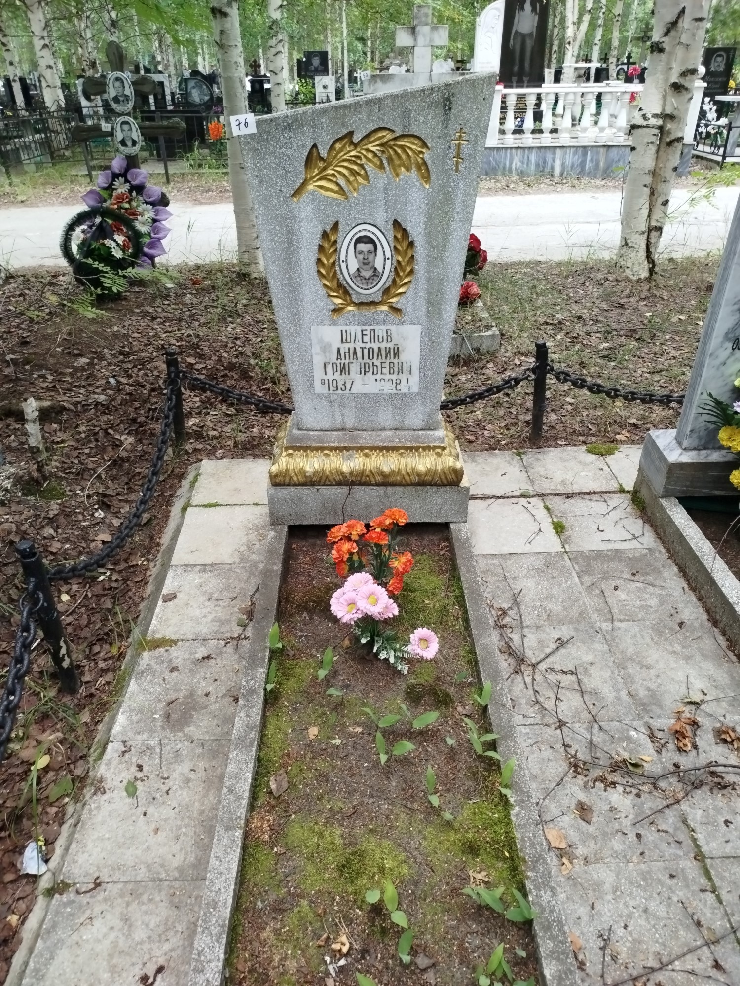 Шлепов Анатолий Григорьевич