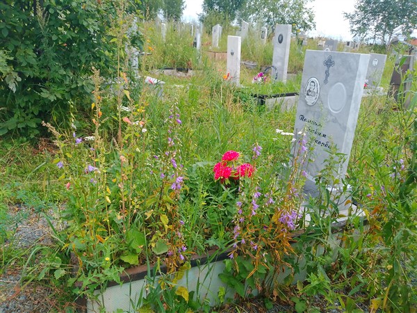 Терехова Елена Сидоровна