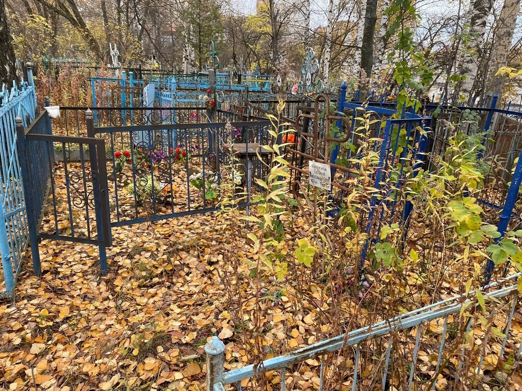 Курочкина Галина Александровна