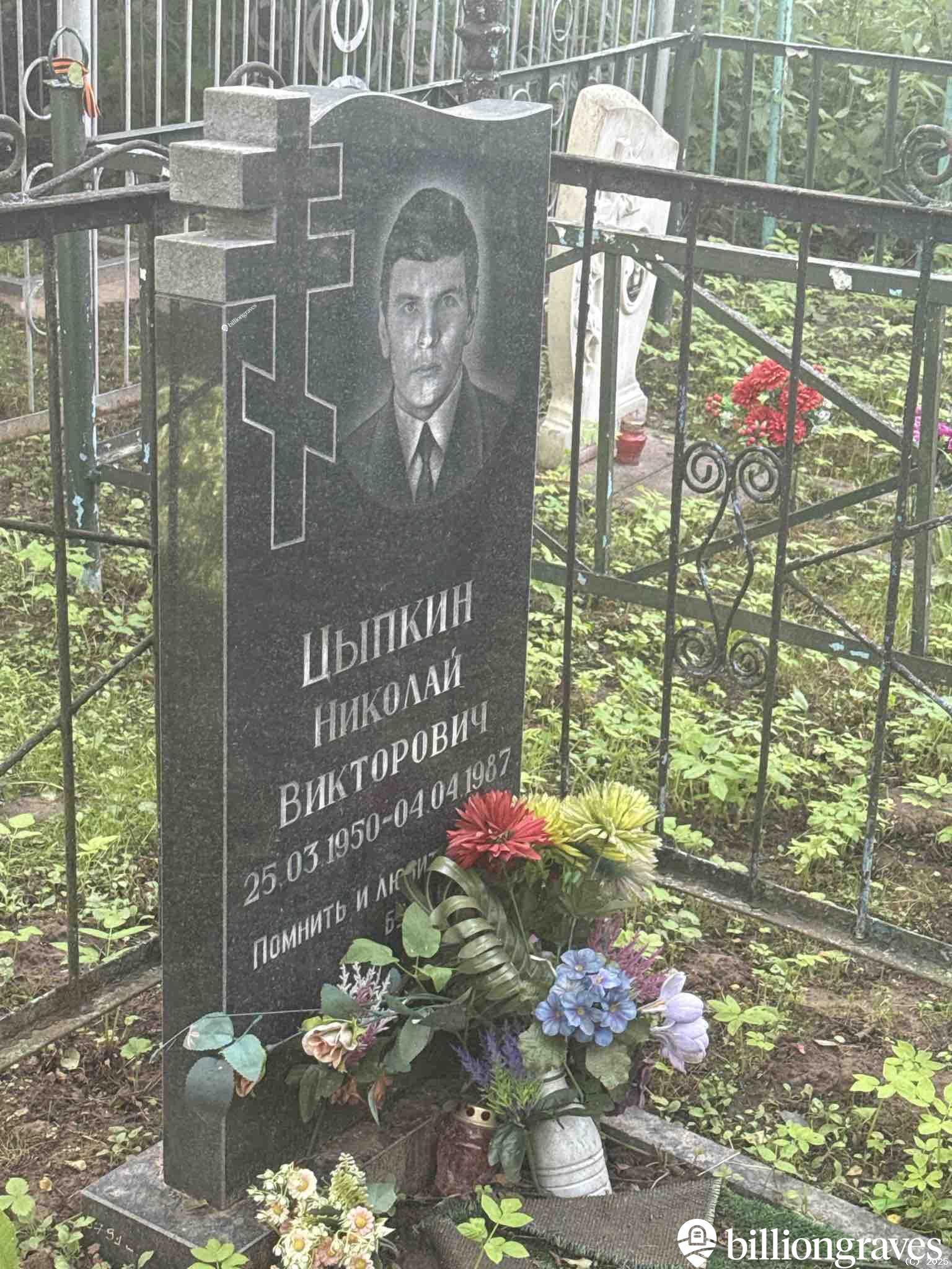 Цыпкин Николай Викторович