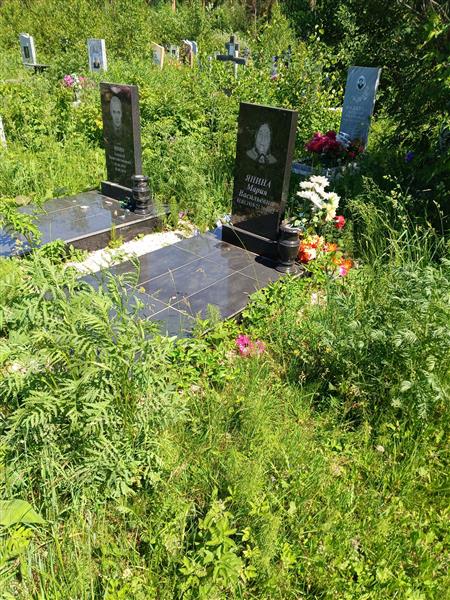 Янин Алексей Константинович