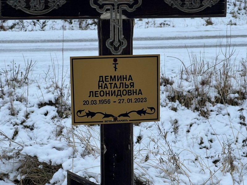 Демина