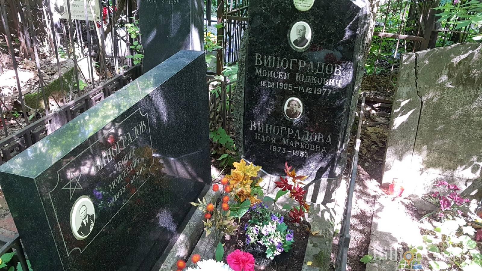 Виноградов Леонид Моисеевич