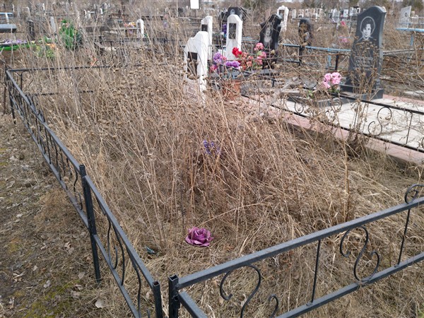 Гамзелева Елена Петровна