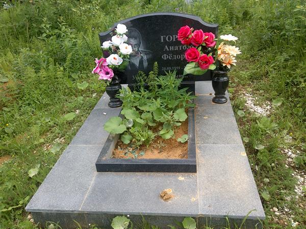 Горинов Анатолий Федорович