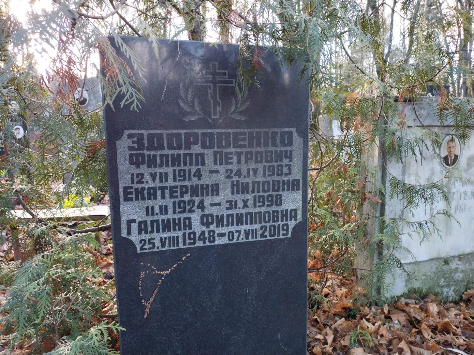 Здоровенко Галина Филипповна