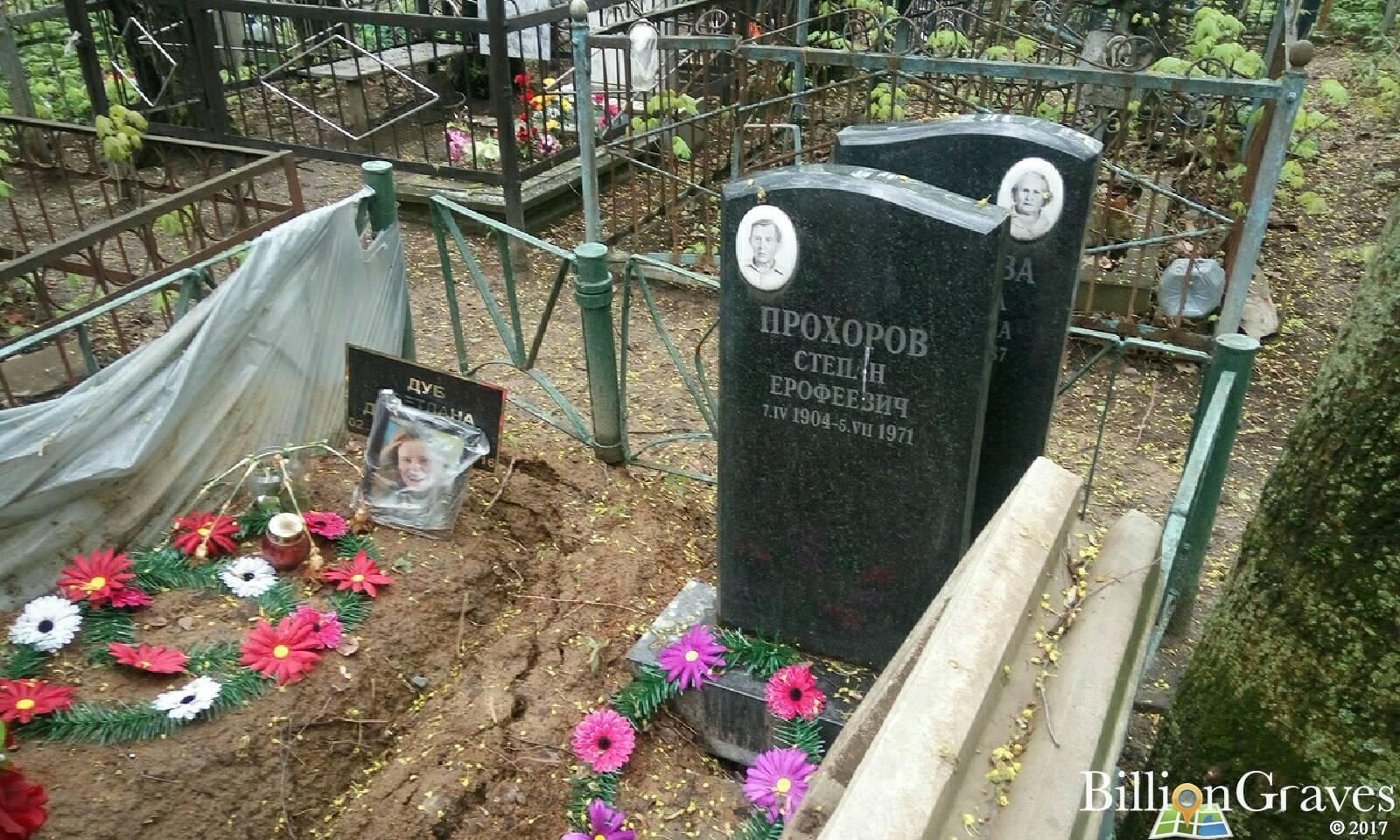 Дуб Светлана Давыдовна