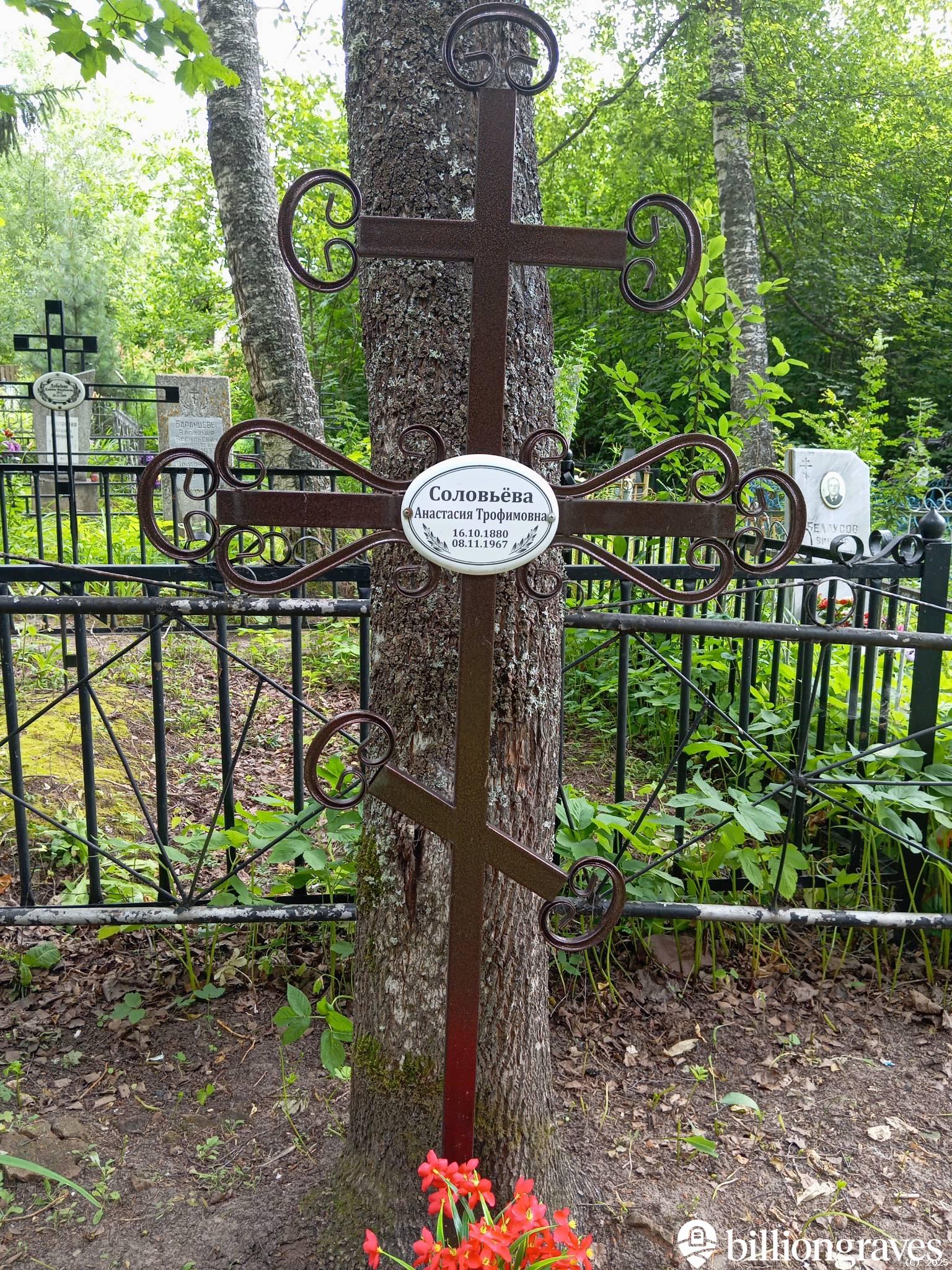 Соловьёва Анастасия Трофимовна