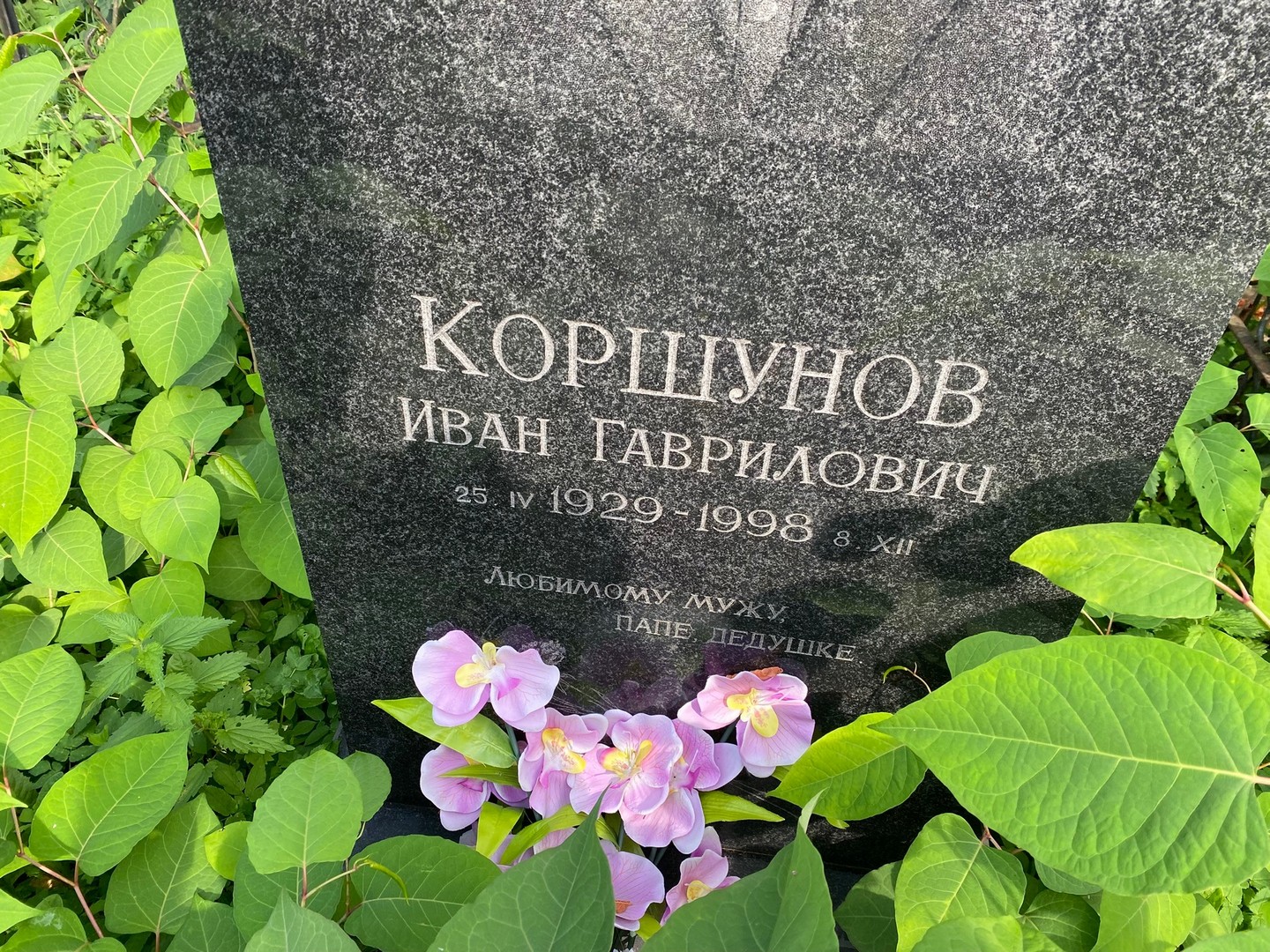 Коршунов