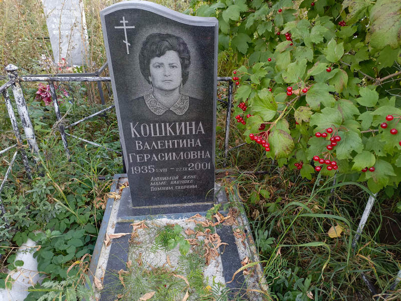 Кошкина