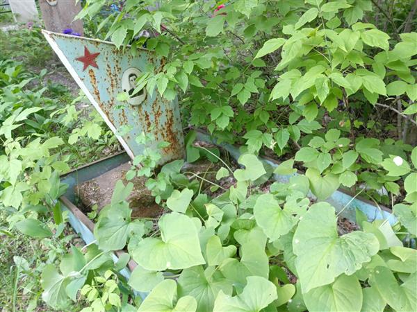 Хохлов Василий Федорович
