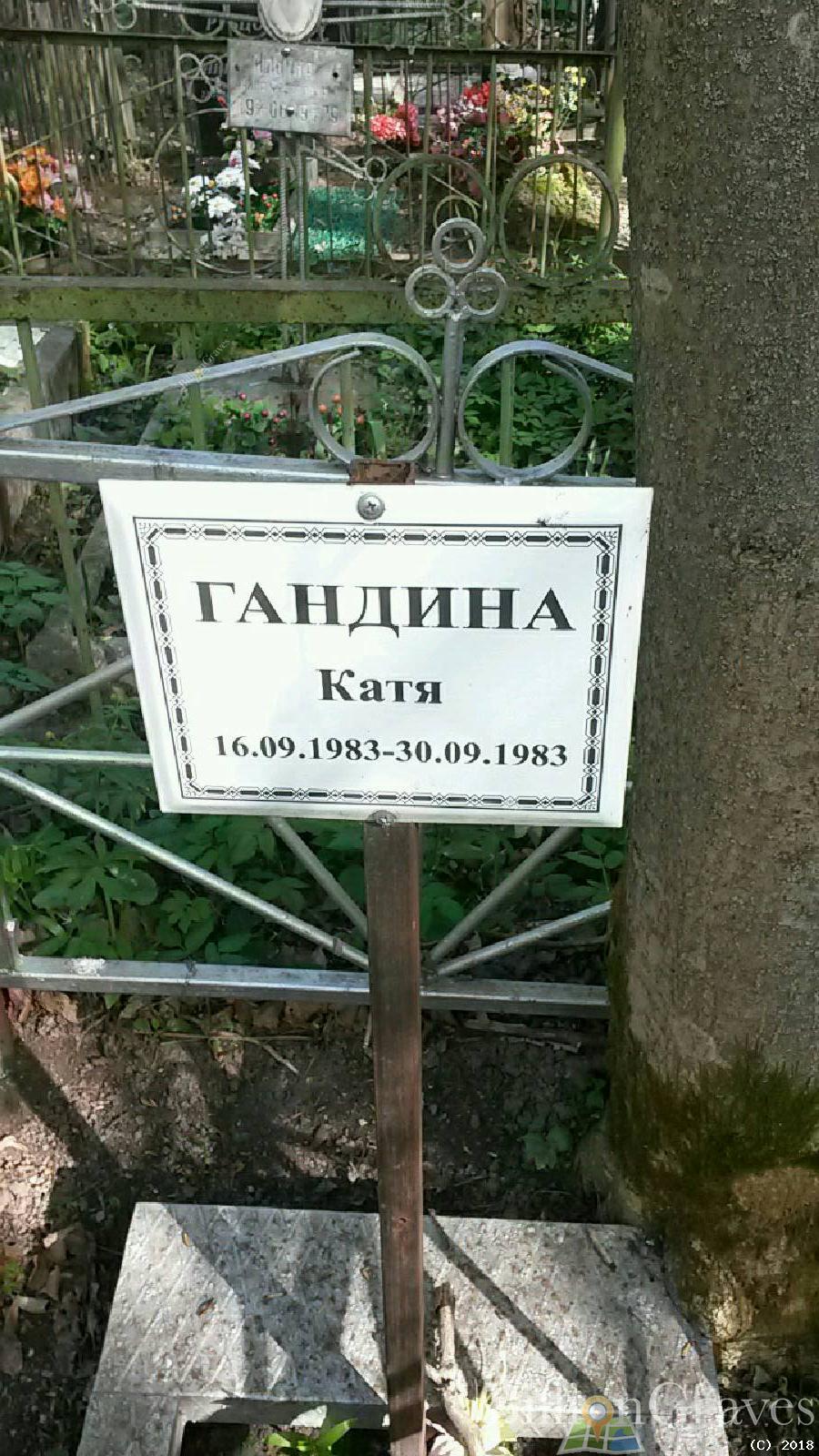 гандина катя екатерина