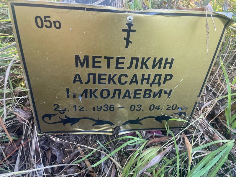 Метелкин