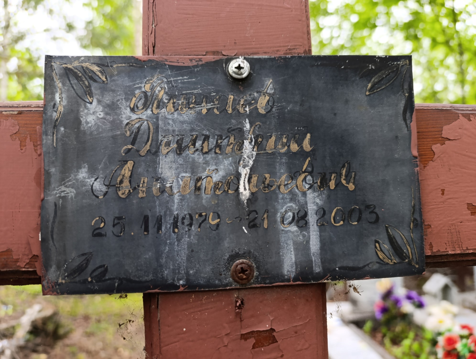 Пинаев Дмитрий Анатольевич