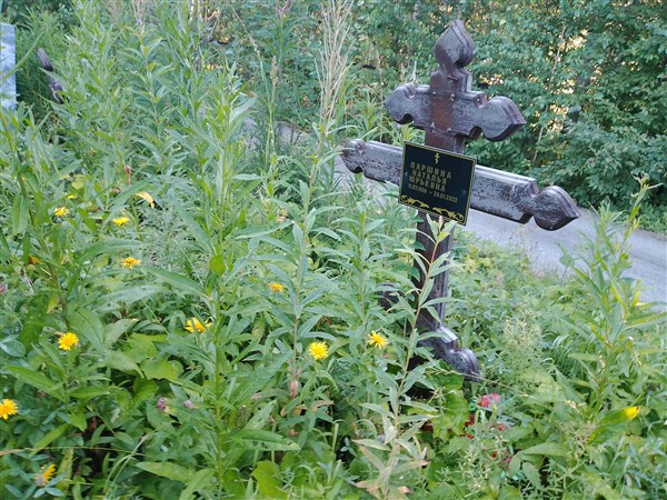 Паршина Наталья Юрьевна