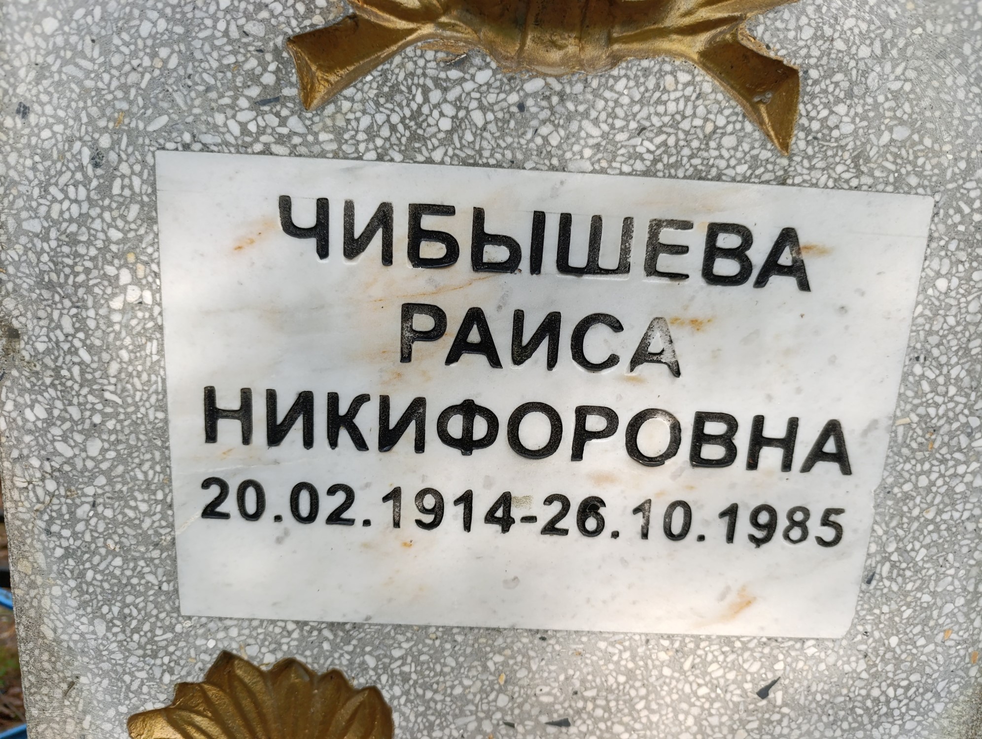 Чибышева Раиса Никифоровна