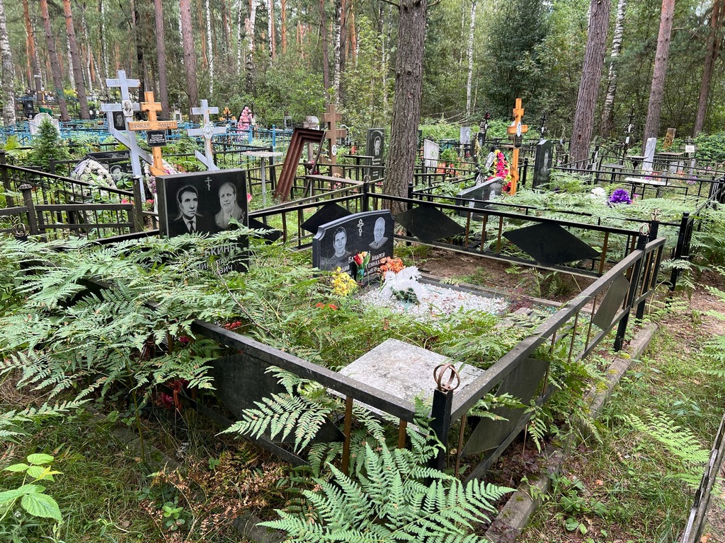 Батькин Николай Иванович