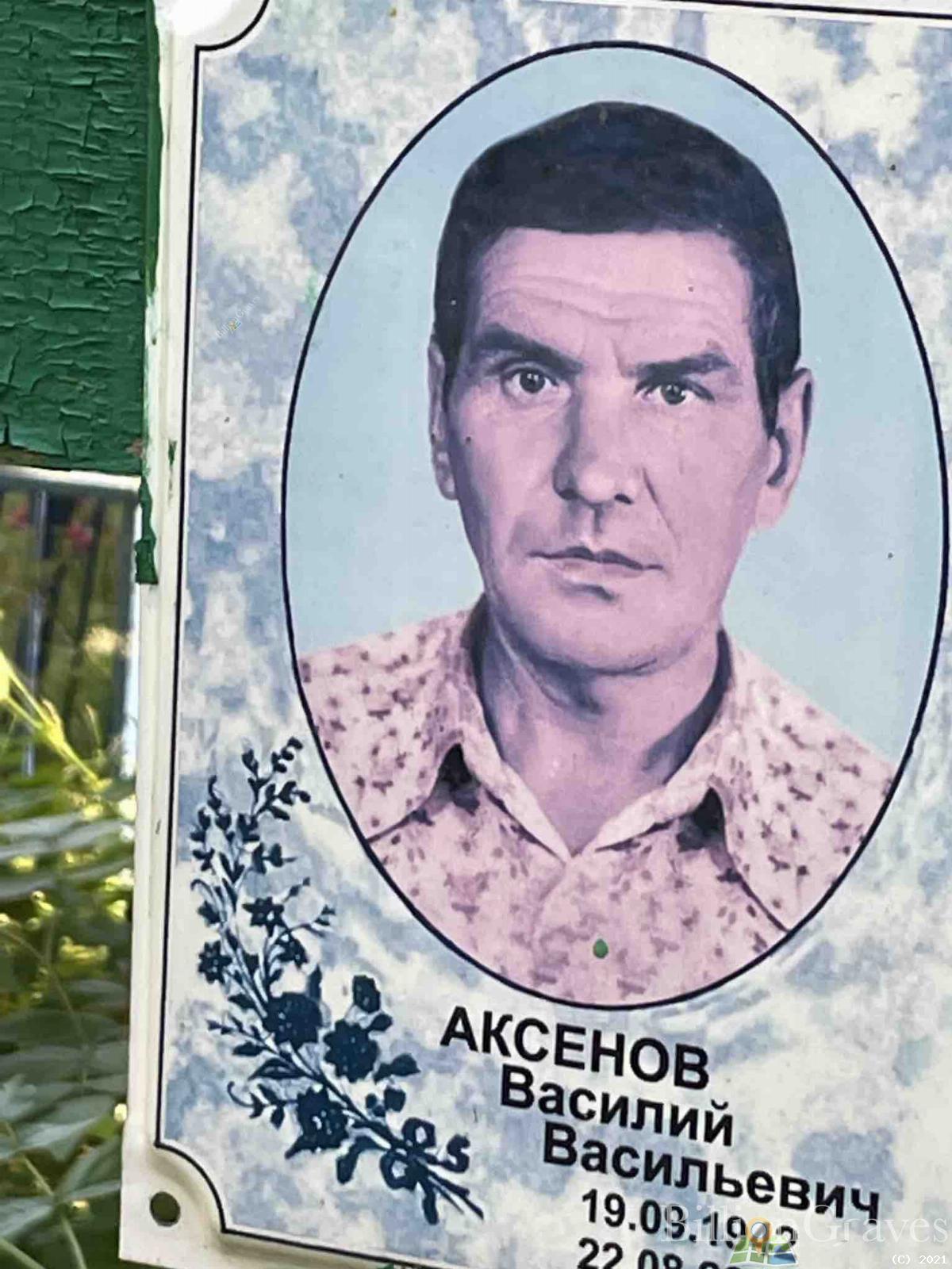 Аксенов Василий Васильевич
